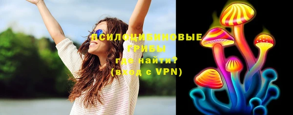 дмт Киреевск