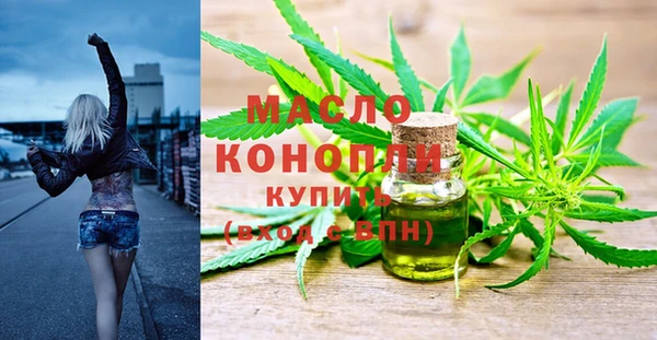 дмт Киреевск