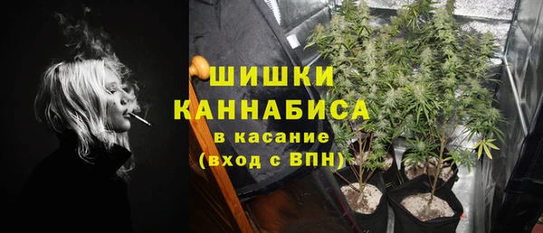 дмт Киреевск