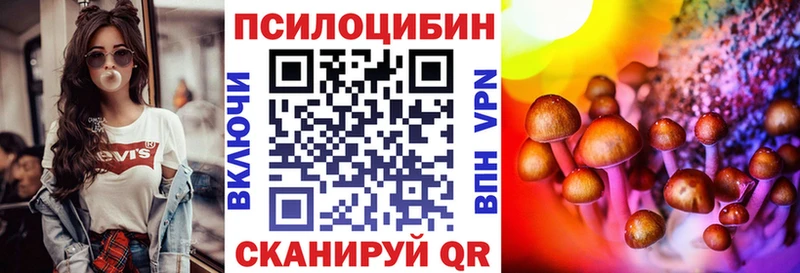 продажа наркотиков  Ноябрьск  Псилоцибиновые грибы MAGIC MUSHROOMS 