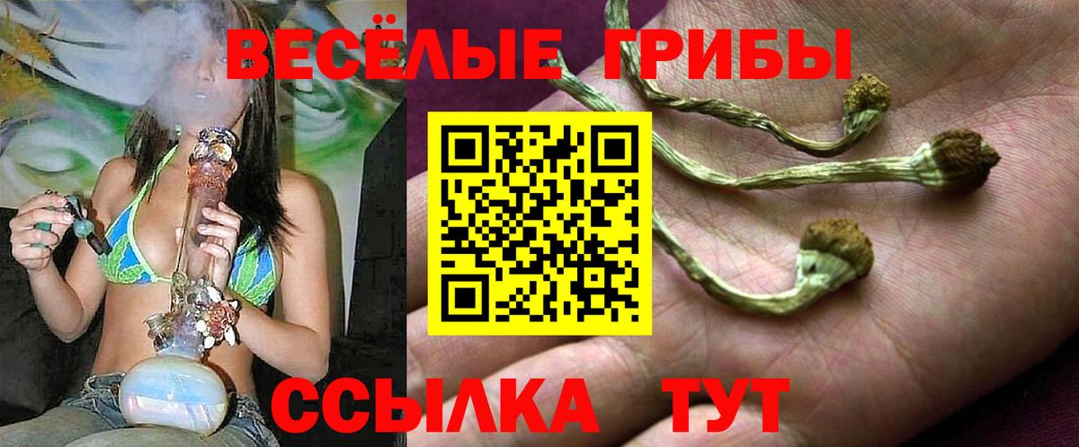 Галлюциногенные грибы ЛСД  Вход с VPN  Галлюциногенные грибы Psilocybine cubensis  Ноябрьск 