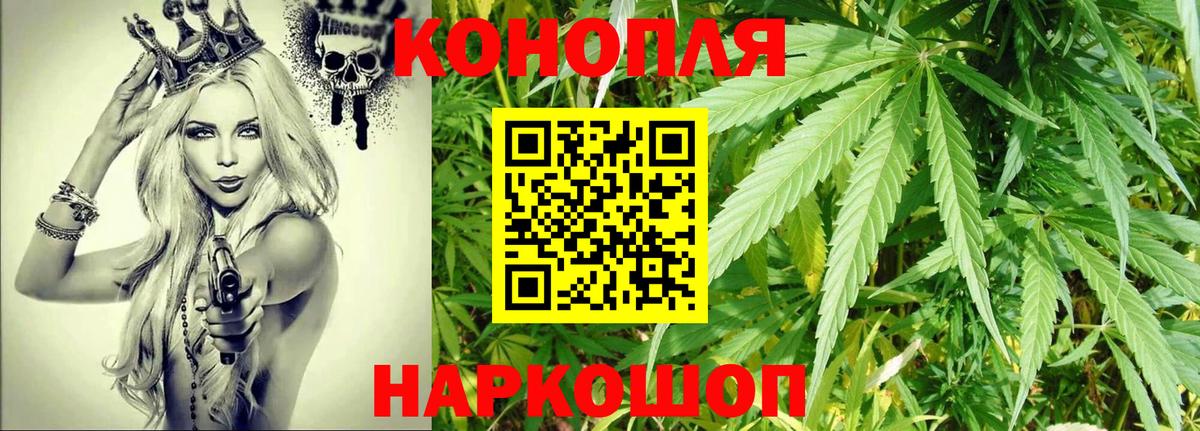 МАРИХУАНА SATIVA & INDICA  Канабис сатива  Ноябрьск  Конопля семена 